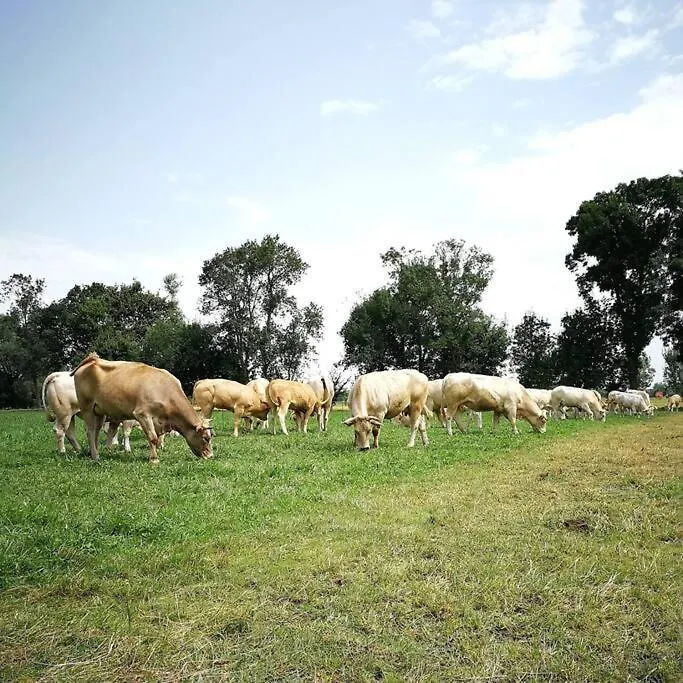 Hébergement de vacances Gite A La Ferme De La Bouriette Revel