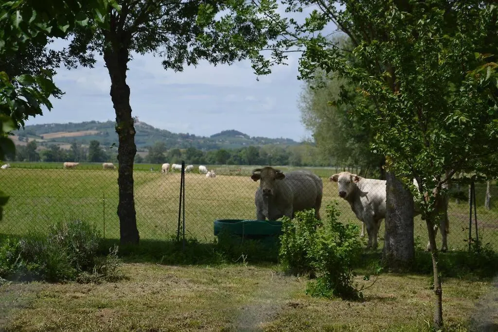 Gite A La Ferme De La Bouriette Revel  France